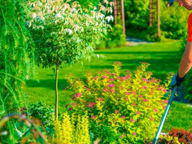 Servicio Jardinería Monterrey