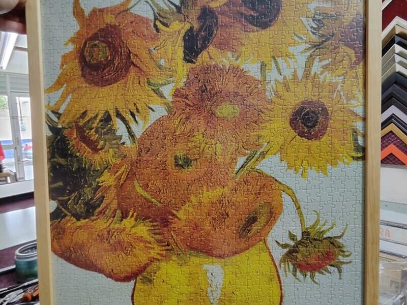 Cuadro Decorativo Girasoles Monterrey