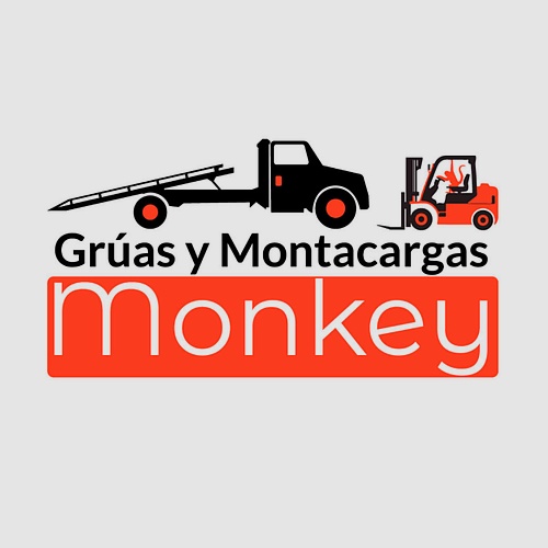 Gruas y montacargas monkey
