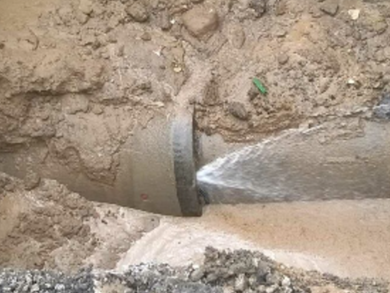 Sondas  Videocámara  Tijuana
