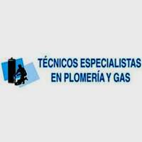 Técnicos Especialistas en Plomería y Gas