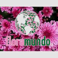 Floramundo SA de CV