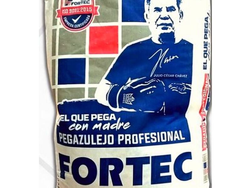 Pegazulejo profesional Monterrey