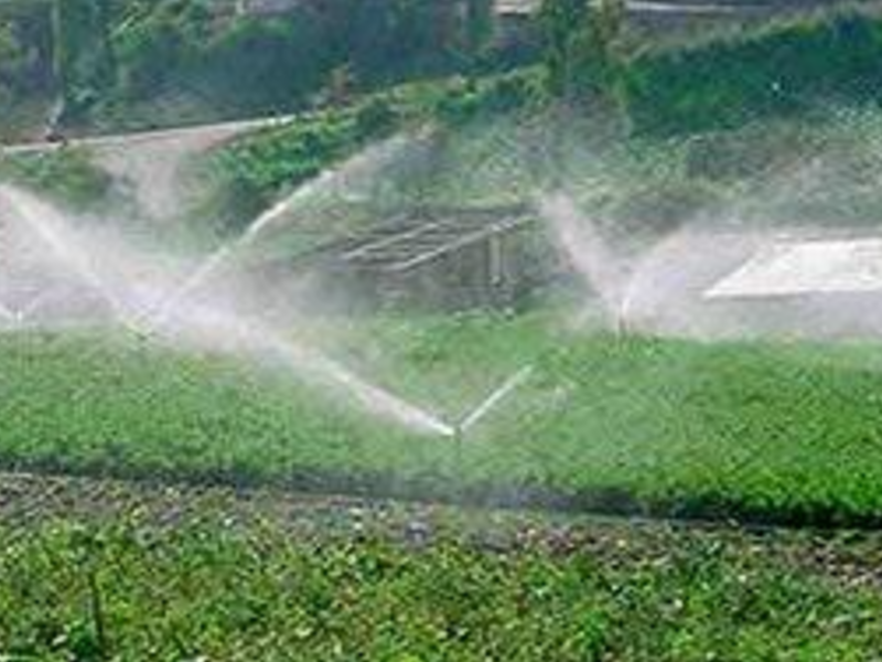 Agua Potable    Mexico