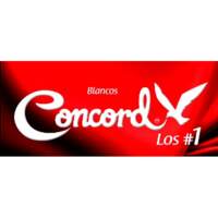 Colchas Concord