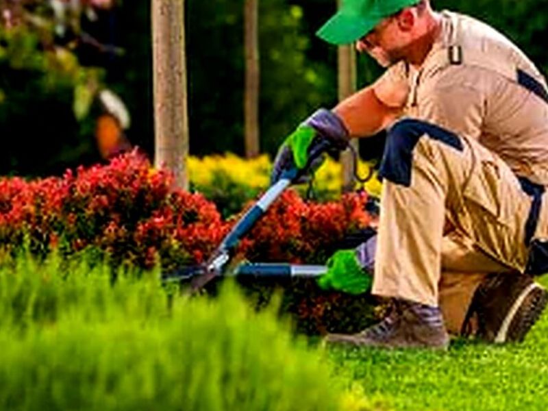 Mantenimiento jardines Morelos
