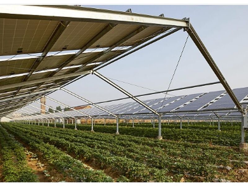 Paneles solares Agricultura México
