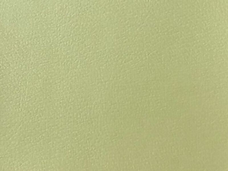 Avanti Apple Eco México