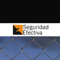 Seguridad Efectiva