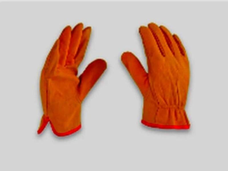guantes plagas mexico
