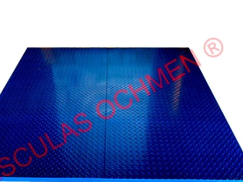 Basculas Industrial Ochmen Mexico