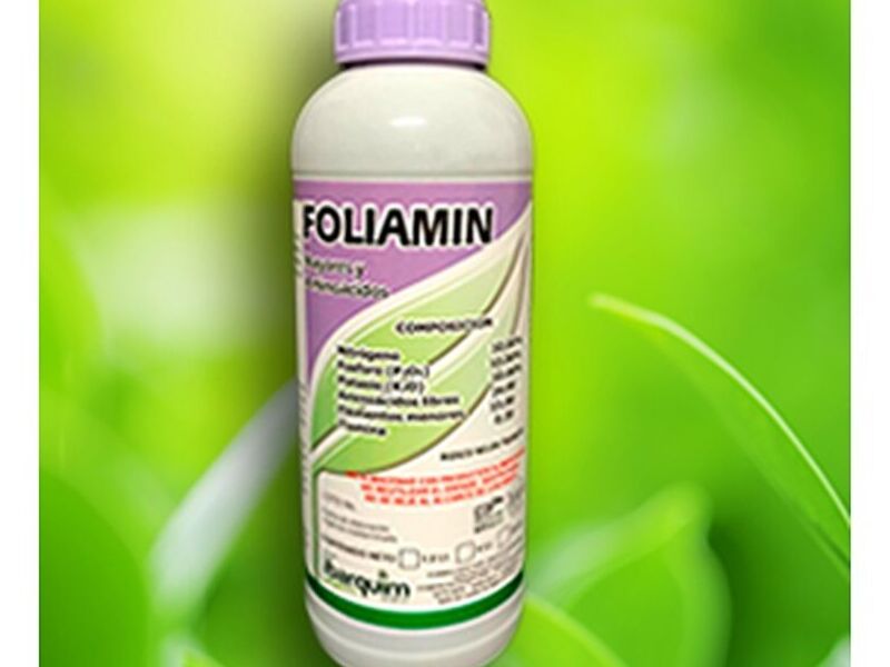 FoliAmin México