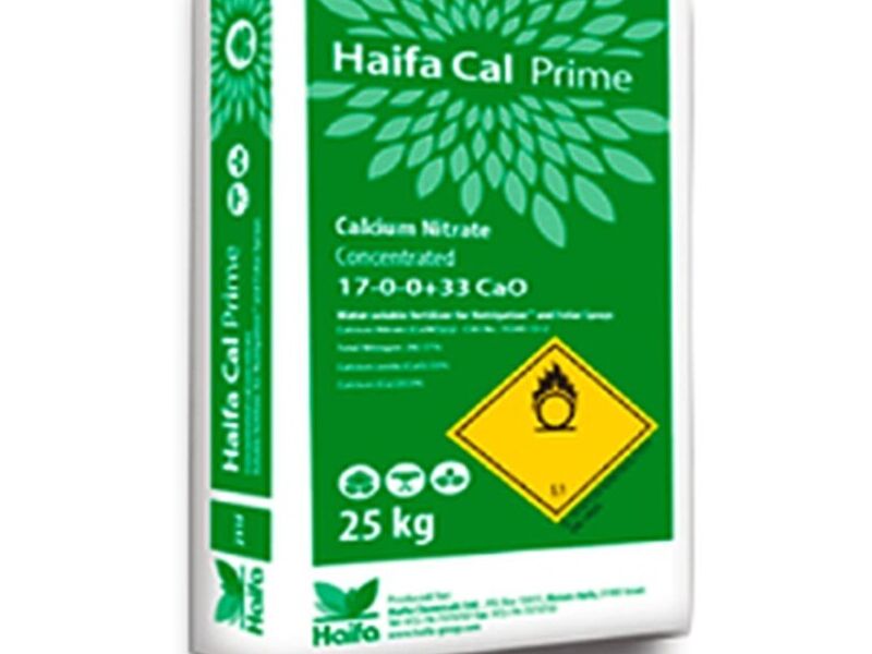Haifa Cal Prime México