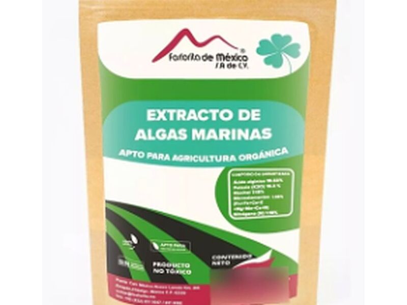 Extracto Algas Marinas  México