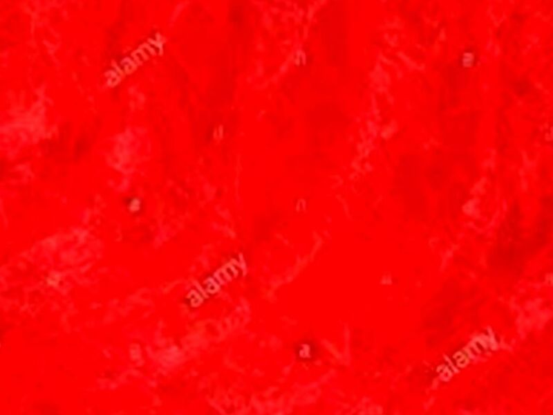 Lona Rojo Mexico