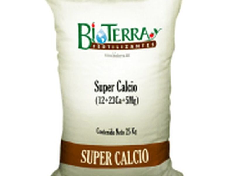 Super Calcio México