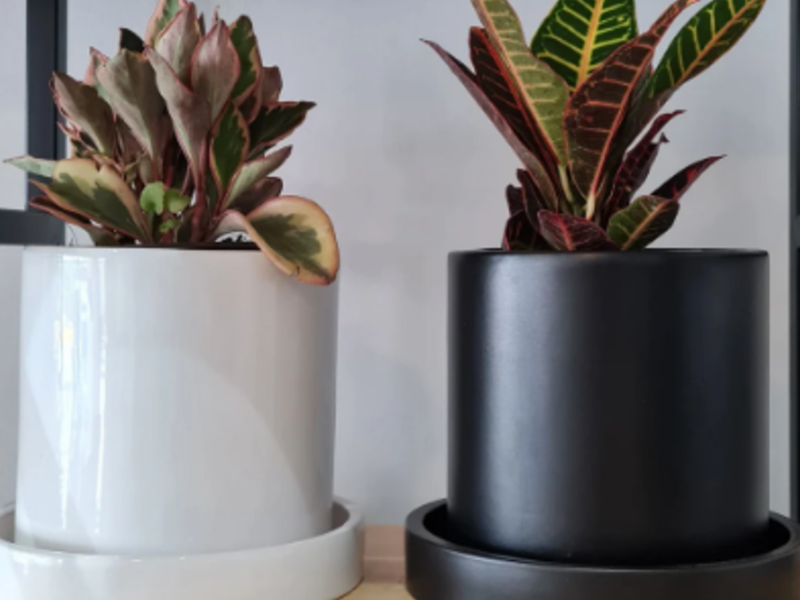 Cilindro 20cm Unicolor