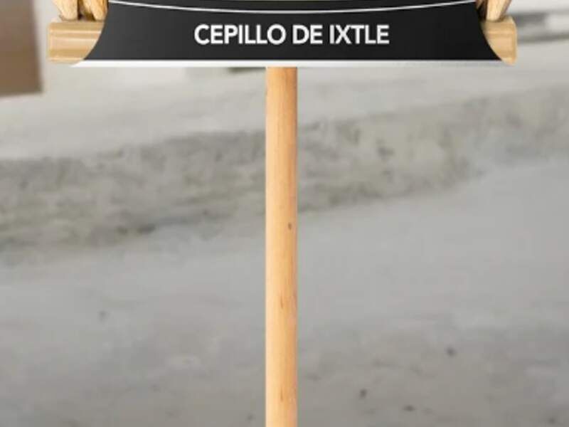 CEPILLO IXTLE VILLAHERMOSA