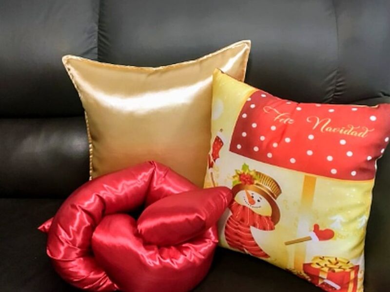 Cojines Nvideños Mexico