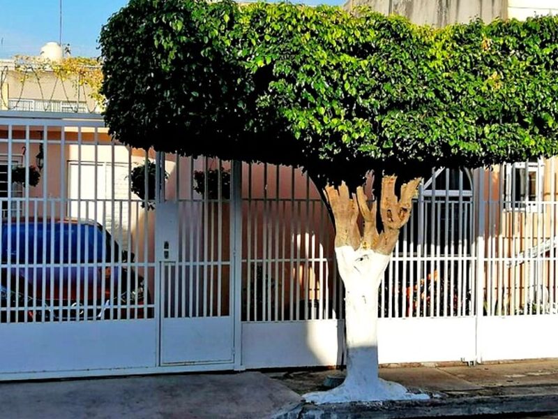 Casa Venta Celaya