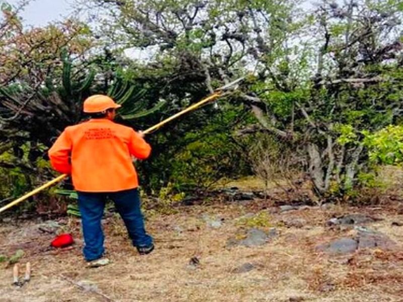 Saneamiento Terrenos, Áreas México