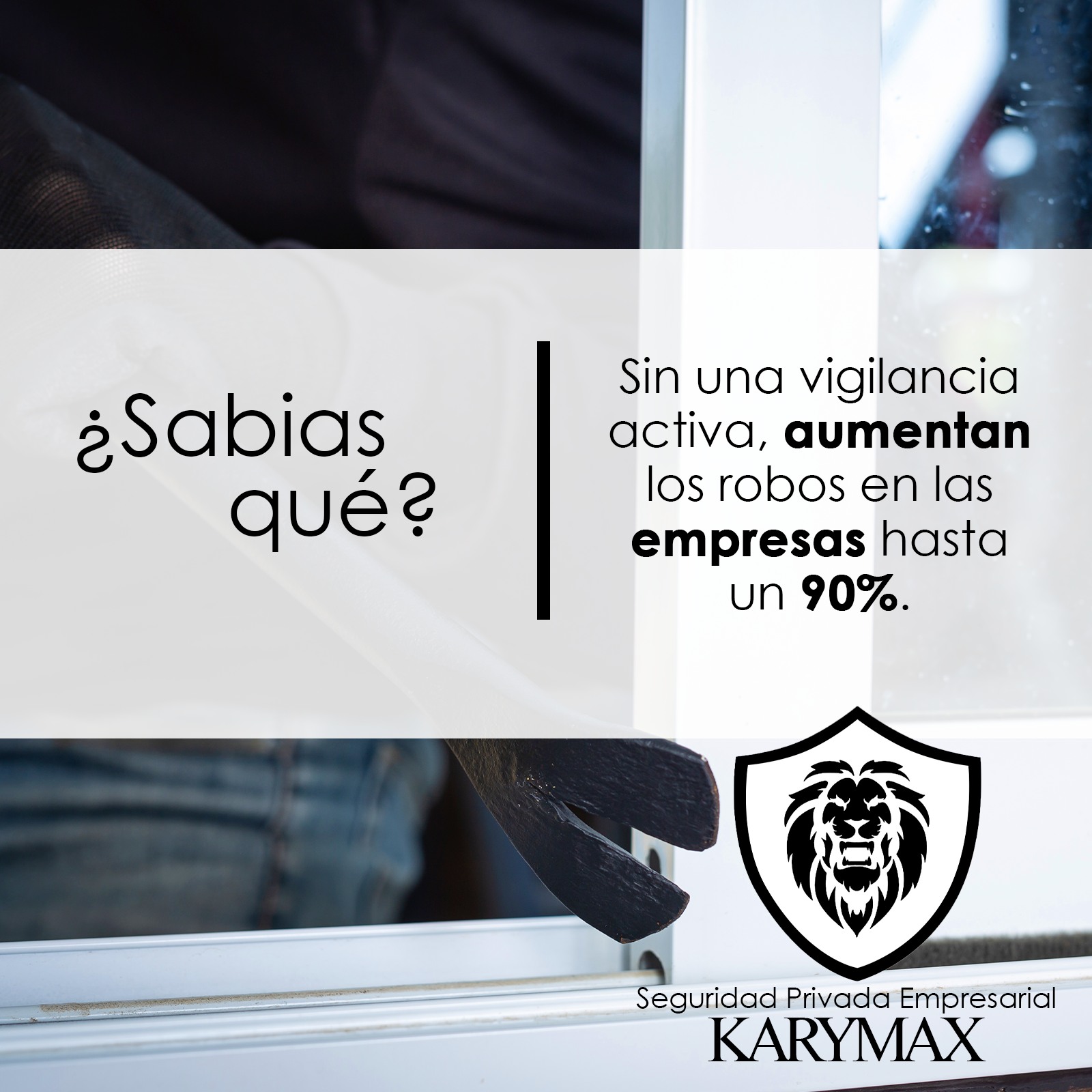 Seguridad Privada Mexico