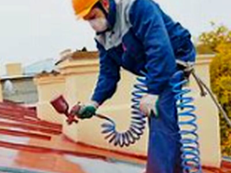 Pintura de Techos y Reparación Guanajuato