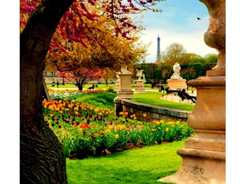 Diseño de jardines Mérida