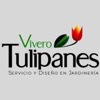 Vivero Tulipanes
