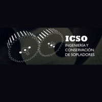 ICSO Ingeniería y Conservación de Sopladores