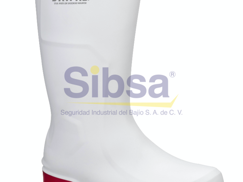  Calzado Industrial LPI450-220 México