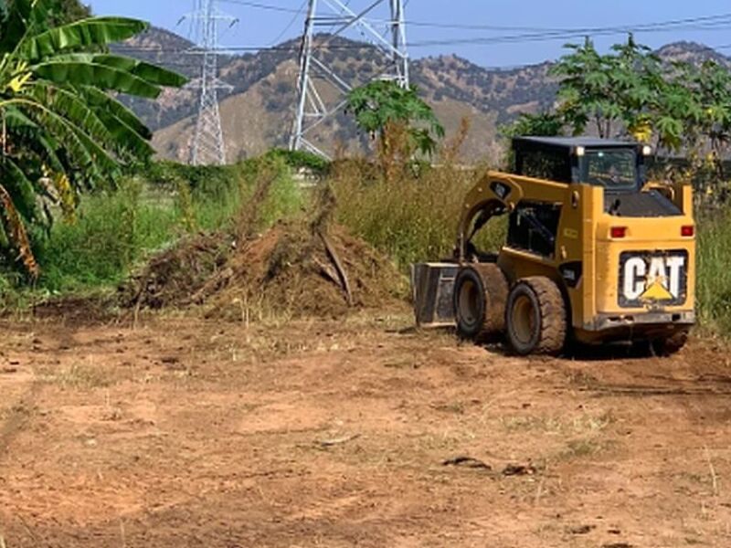 Limpieza terrenos México