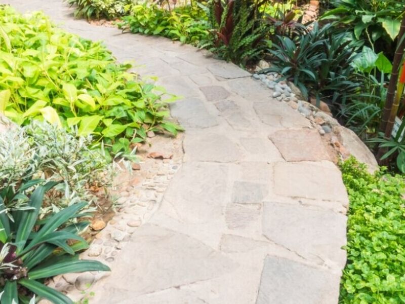 Diseño Jardín México