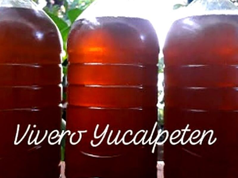 Vitamina Orgánica 1L Mérida