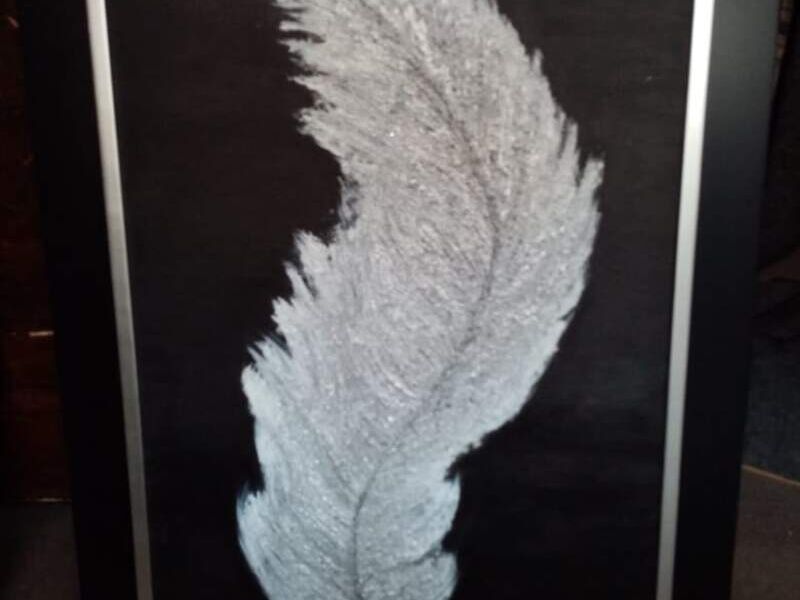 Cuadro Decorativo Pluma Tijuana