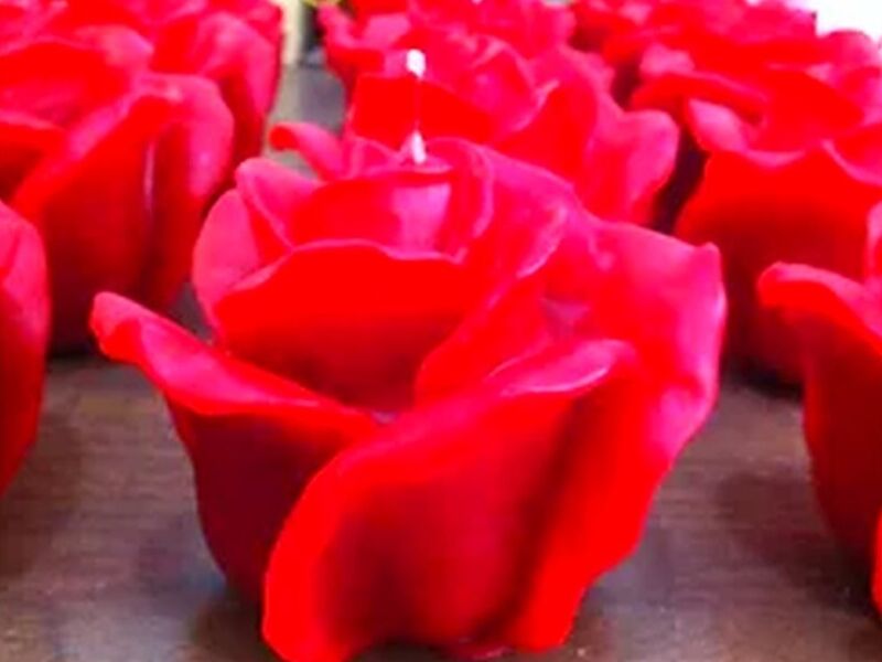 Rosa pétalo abierto México