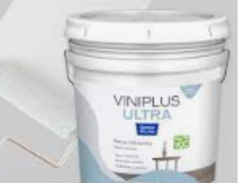 Pintura Acrílica Agua Blanca Ensenada