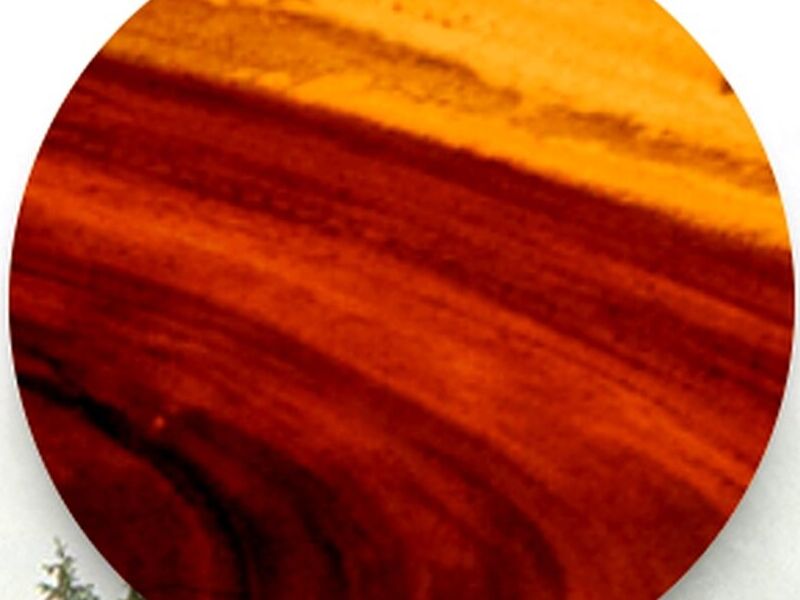Madera Fina Parota México