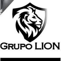 Grupo Lion