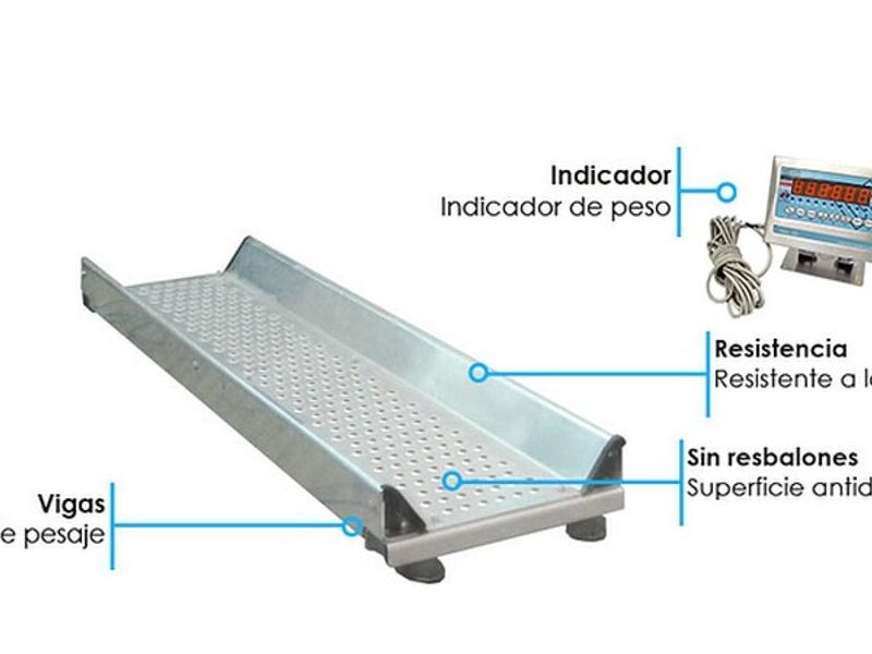 Plataforma de pesaje para ganado MEXICO