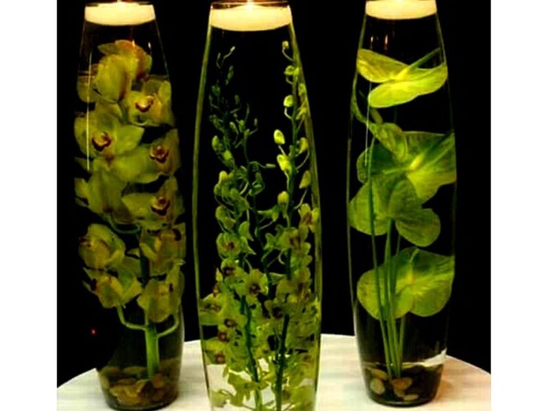 Velas Flotantes Monterrey