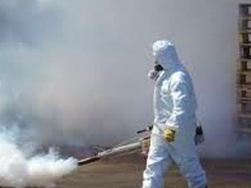 Fumigación México