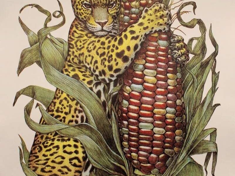 Cuadro Decorativo Mazorca Oaxaca