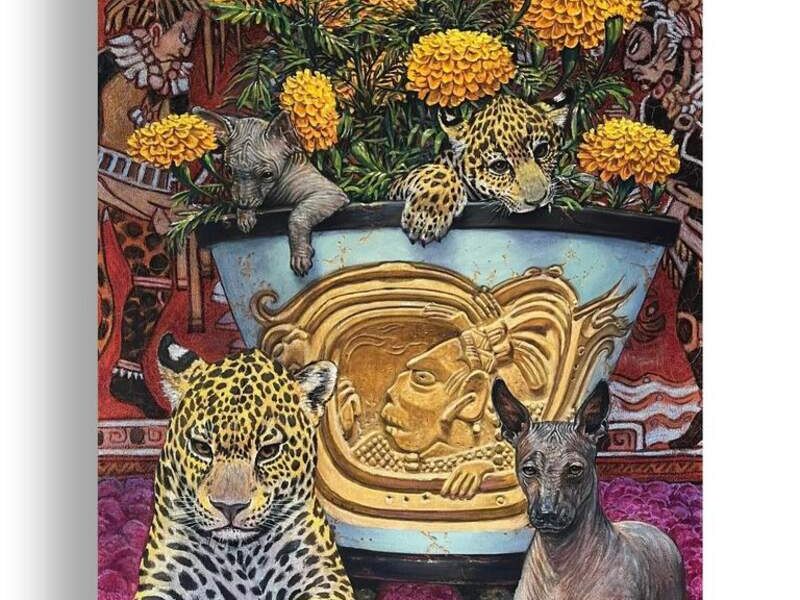 Cuadro Decorativo Animales Oaxaca