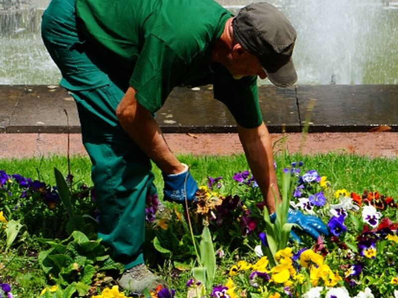 Jardinería Cancún