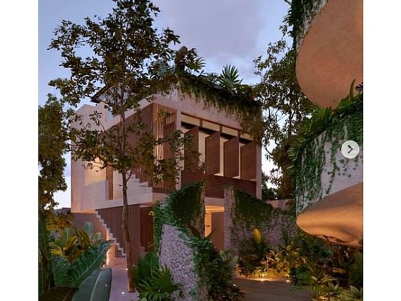 Arcano casa del Árbol Mexico