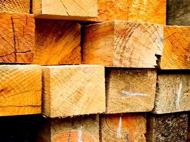 Polines Madera 3"x3"x2.50m CAMPECHE