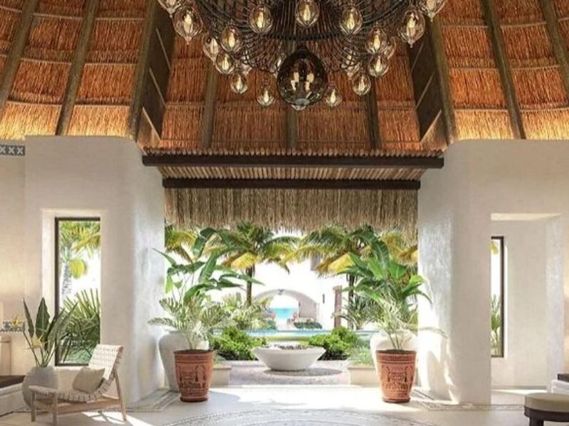 Creación oasis verde Mexico