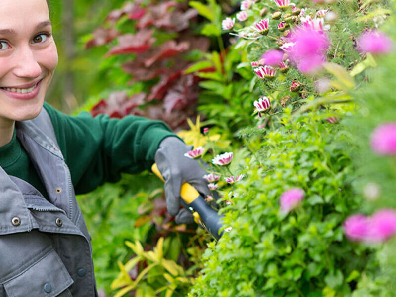 Mantenimiento jardines excelencia Mexico