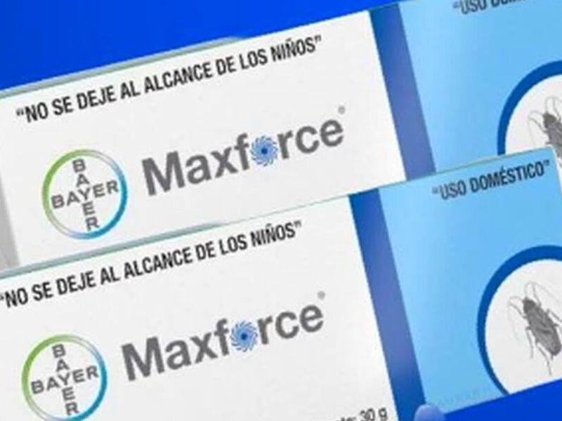 Cebo Maxforce Guanajuato 
